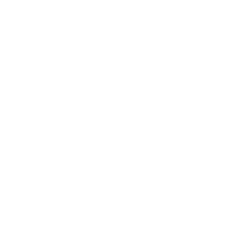 TravelBoom Marketing