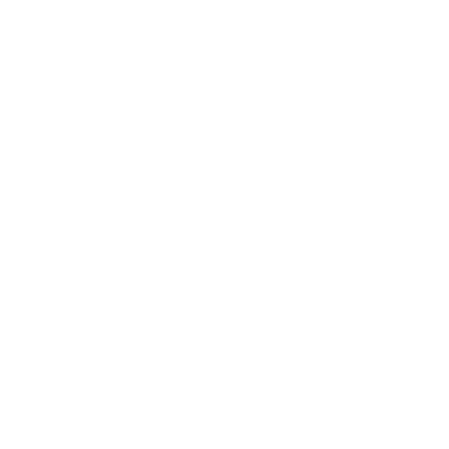 SaleSurf Growth